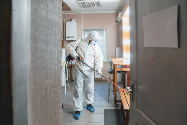 Best Real Estate Mold Inspection  in Montura, FL