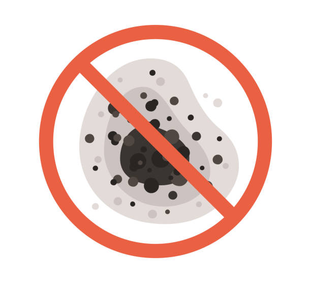 Best Indoor Air Quality Assessment  in Montura, FL