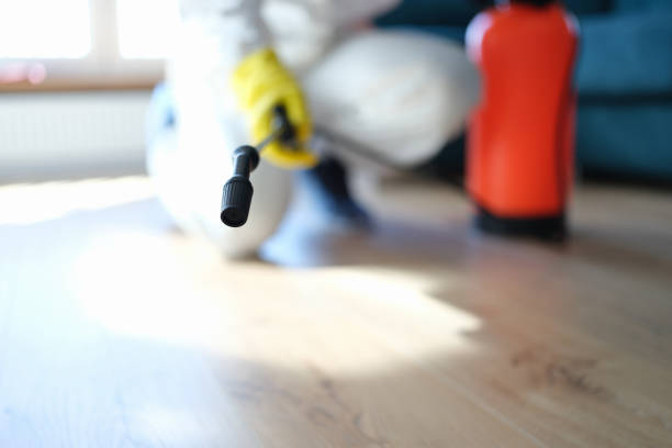 Best Biohazard Mold Removal  in Montura, FL
