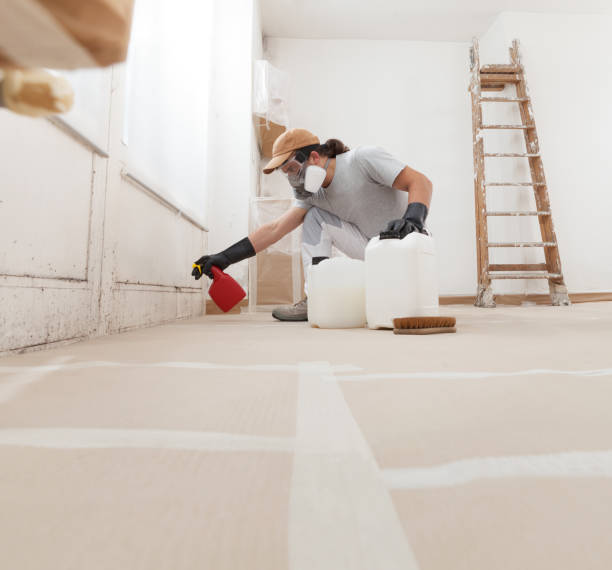 Best Post-Construction Mold Inspection  in Montura, FL