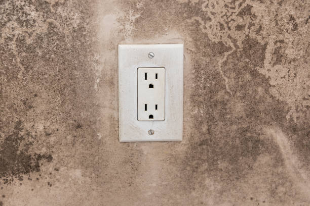 Best Attic Mold Removal  in Montura, FL